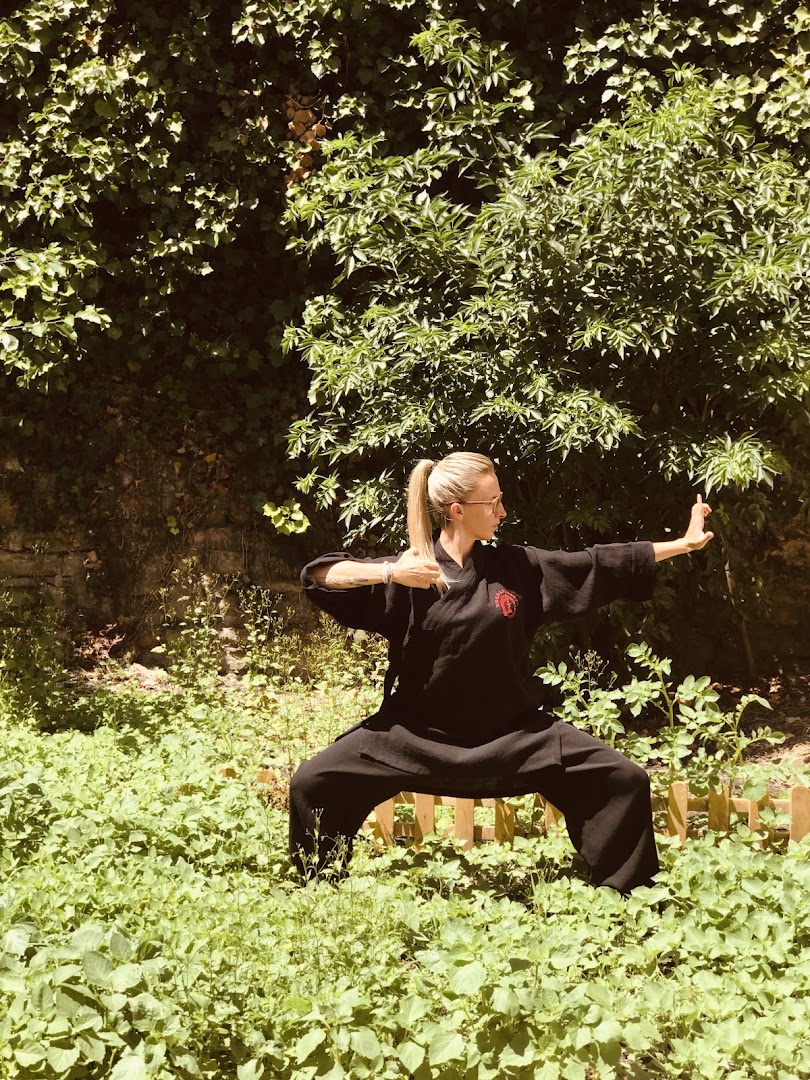 Nathalie STANDAERT - Energétique Chinoise - Qi gong · Photos 1
